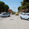 Montevago 2010 (294)